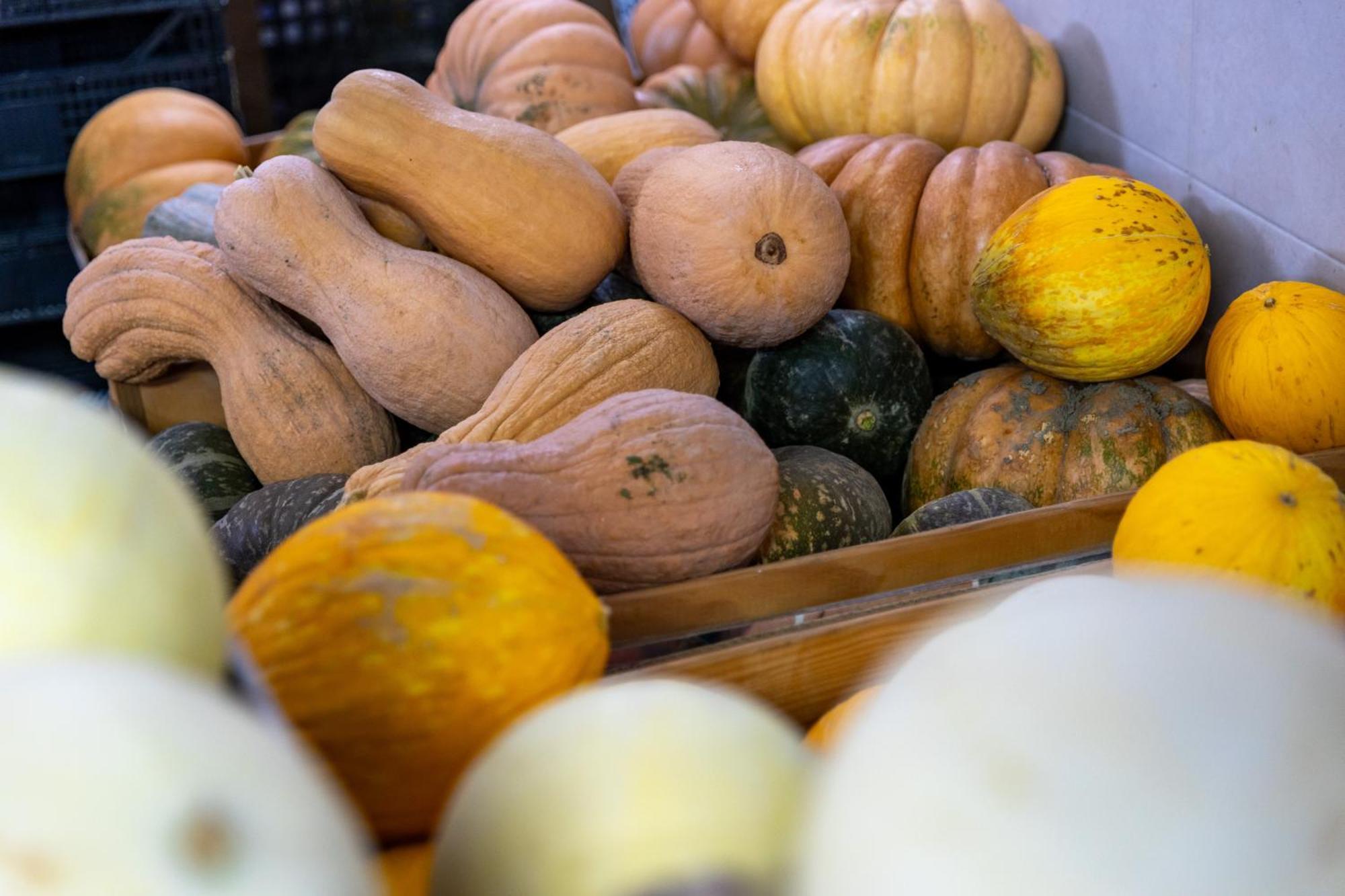 Bio Fattoria Mula D'Oro - Biofattoriamuladoro It - Organic Food, Nature & Relax Mulazzano 外观 照片