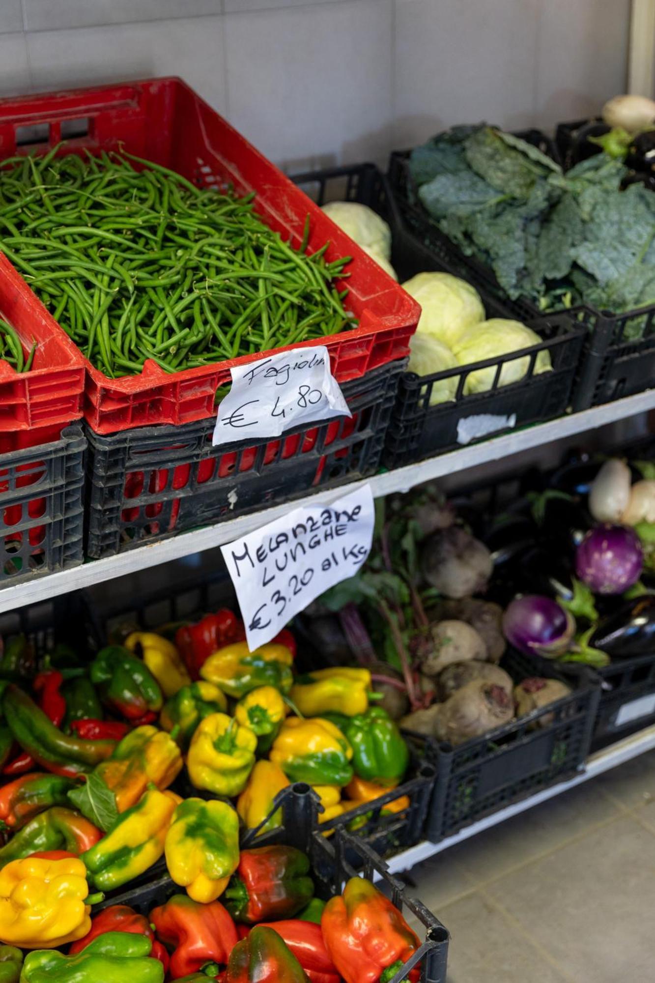 Bio Fattoria Mula D'Oro - Biofattoriamuladoro It - Organic Food, Nature & Relax Mulazzano 外观 照片